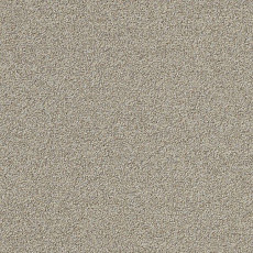 Ковровая плитка Interface Biosfera Boucle 7878 Amaretto фото 1 | FLOORDEALER